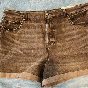 American Eagle Outfitters Dark Gray Jean Shorts BNWT